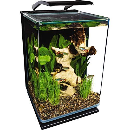 Best Black Friday Aquarium Deals