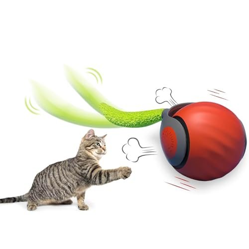 Best Black Friday Smart Cat Toy Deals