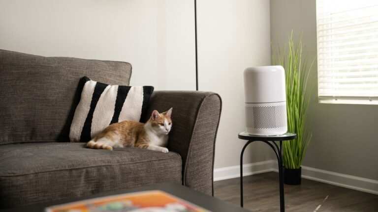 Best Black Friday Air Purifier Deals 2025