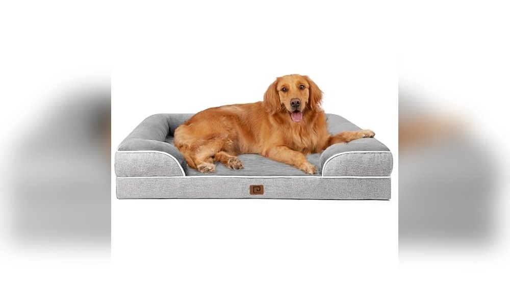 Best Black Friday Dog Bed Deals